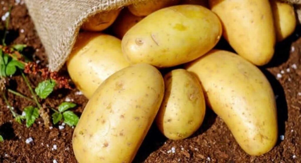 Avoid Potatoes for Weight loss, Check more 10 Vegetables