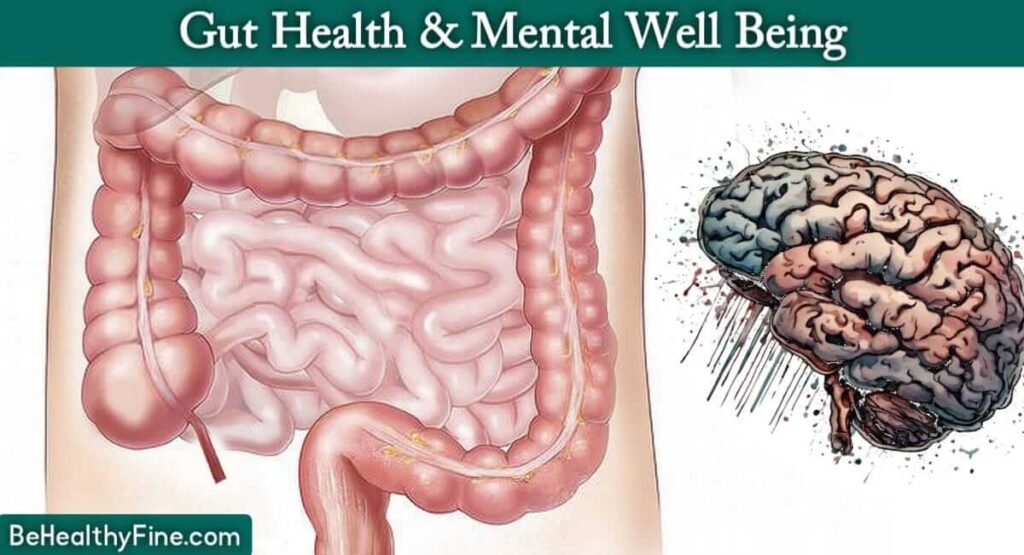 Gut Health and Mental Health