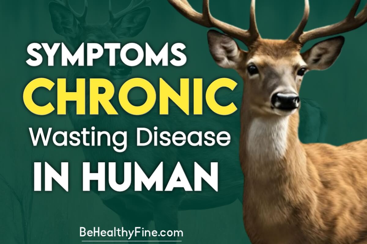 What Are the Symptoms of Chronic Wasting Disease in Humans