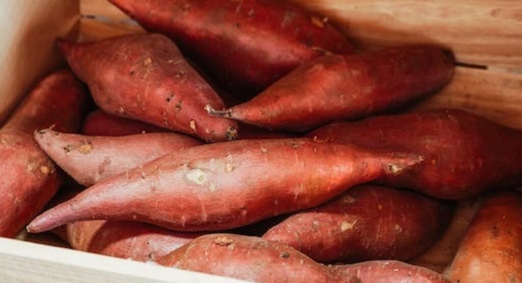 Avoid Sweet Potatoes for Weight loss, Check more 10 Vegetables