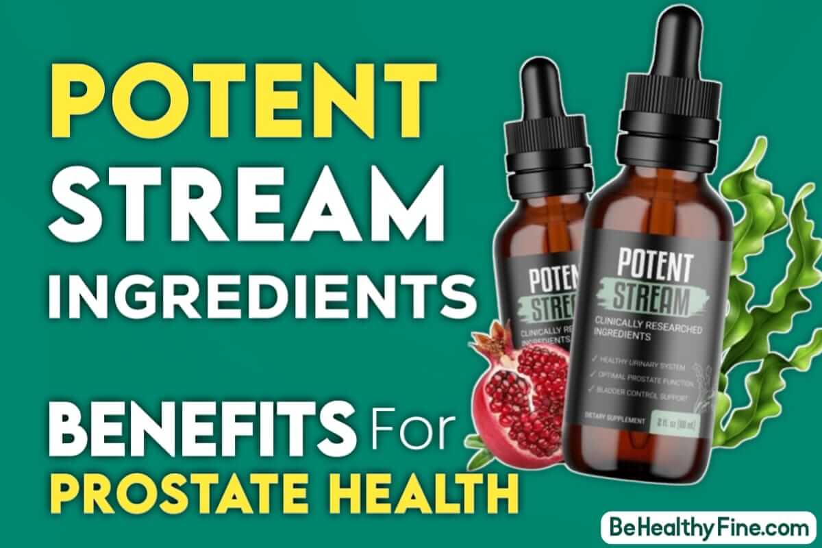 Potent Stream Ingredients List & Their Benefits for Prostate Health