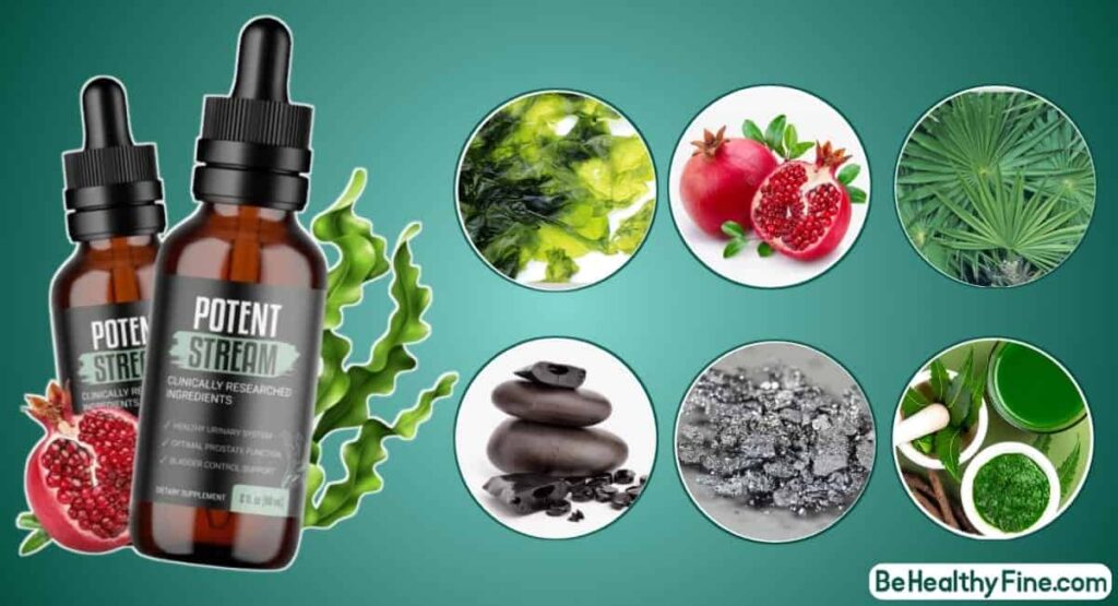 Potent Stream Ingredient Inside - Potent Stream Honest Review