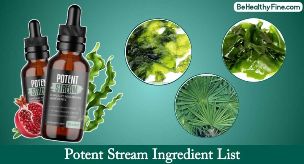 Potent Stream Ingredients List & Their Benefits for Prostate Health