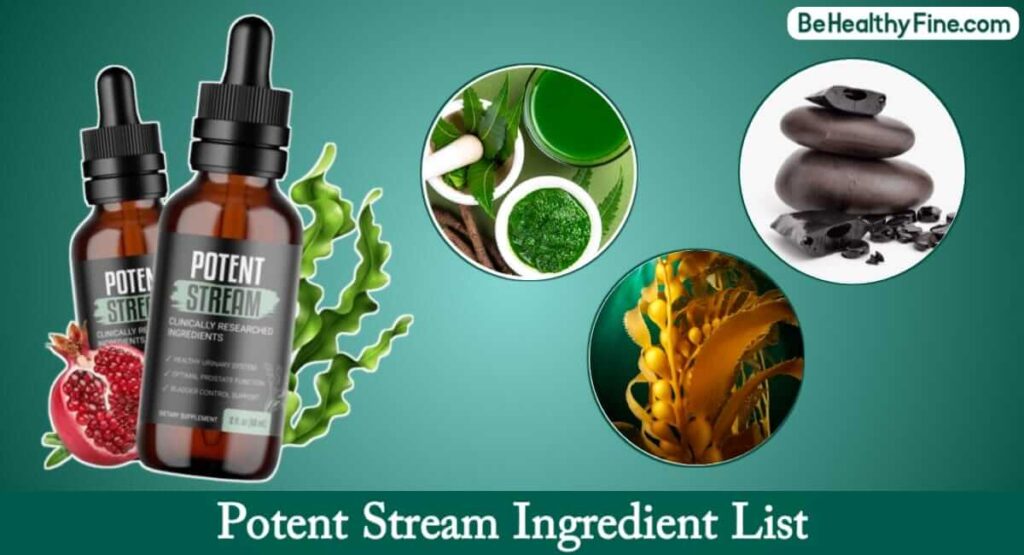 Potent Stream Ingredients List & Their Benefits for Prostate Health